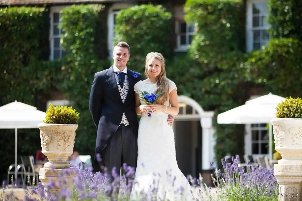 Bush Hotel Farnham - Général