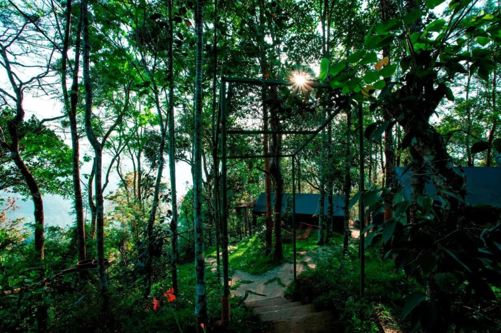 Season7 The Nature Resort - Munnar - Général