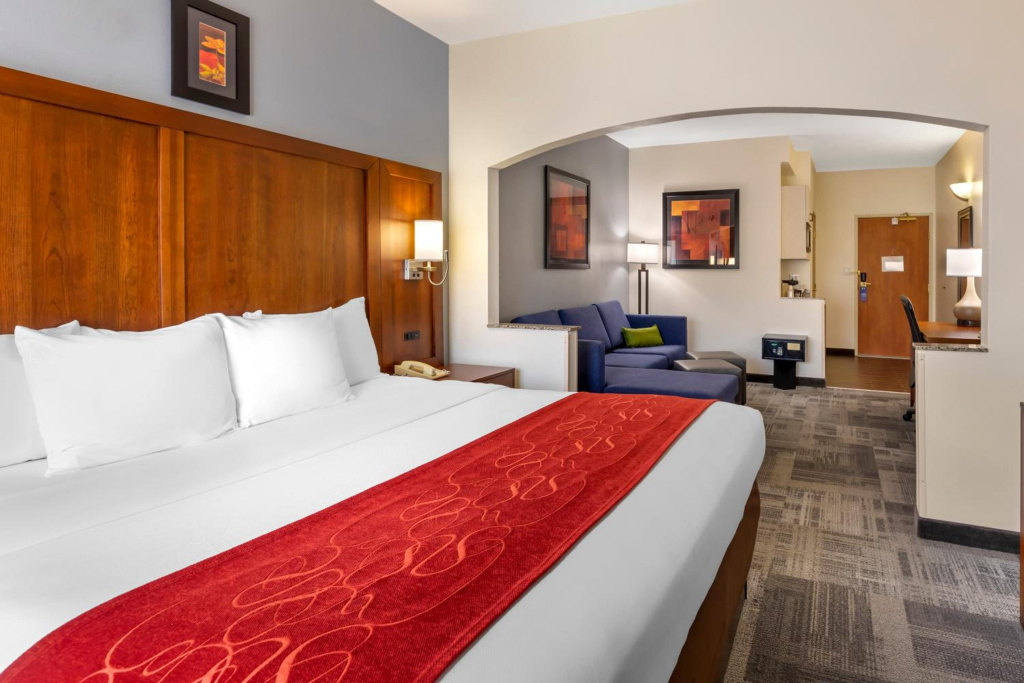 Comfort Suites Denver Tech Center - Général