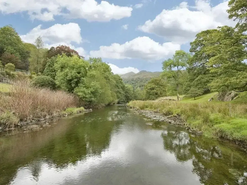 Riverbank At Stepping Stones