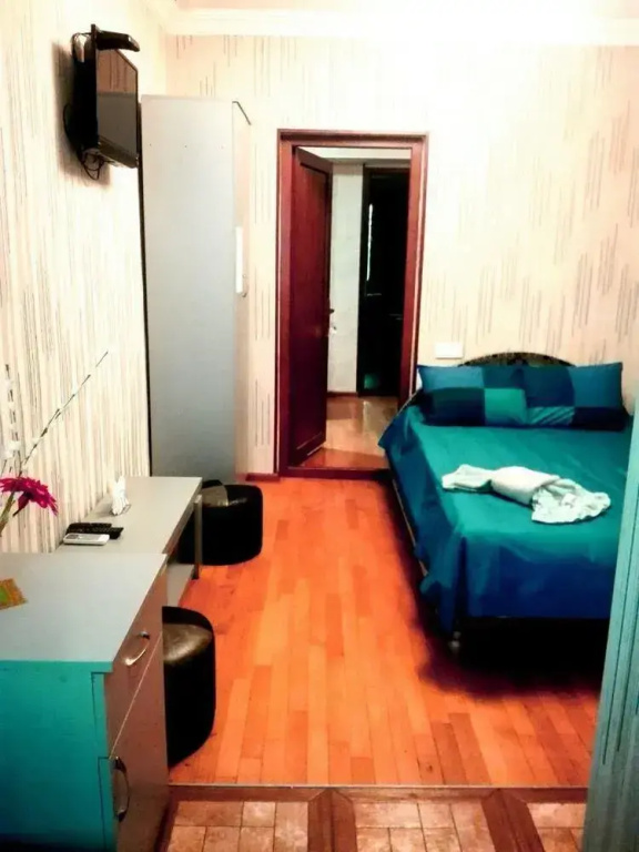 Apart-Hotel Zakariadze 5 - Général