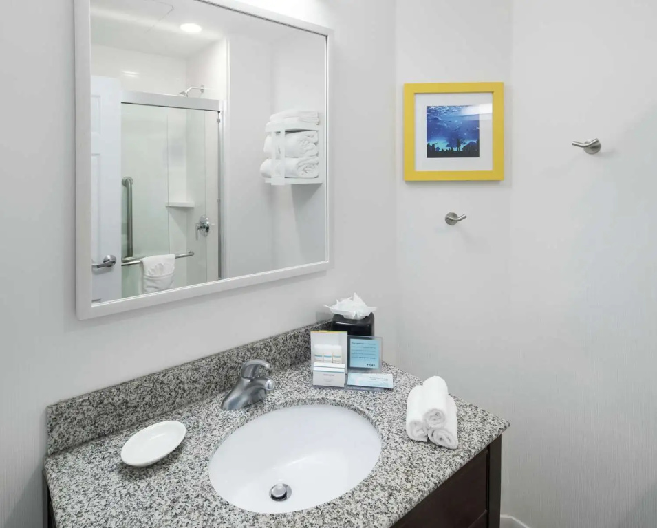 Hampton Inn & Suites Atlanta-Downtown - Chambres