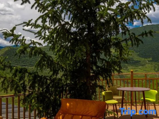 Cloud Top Carefree Homestay