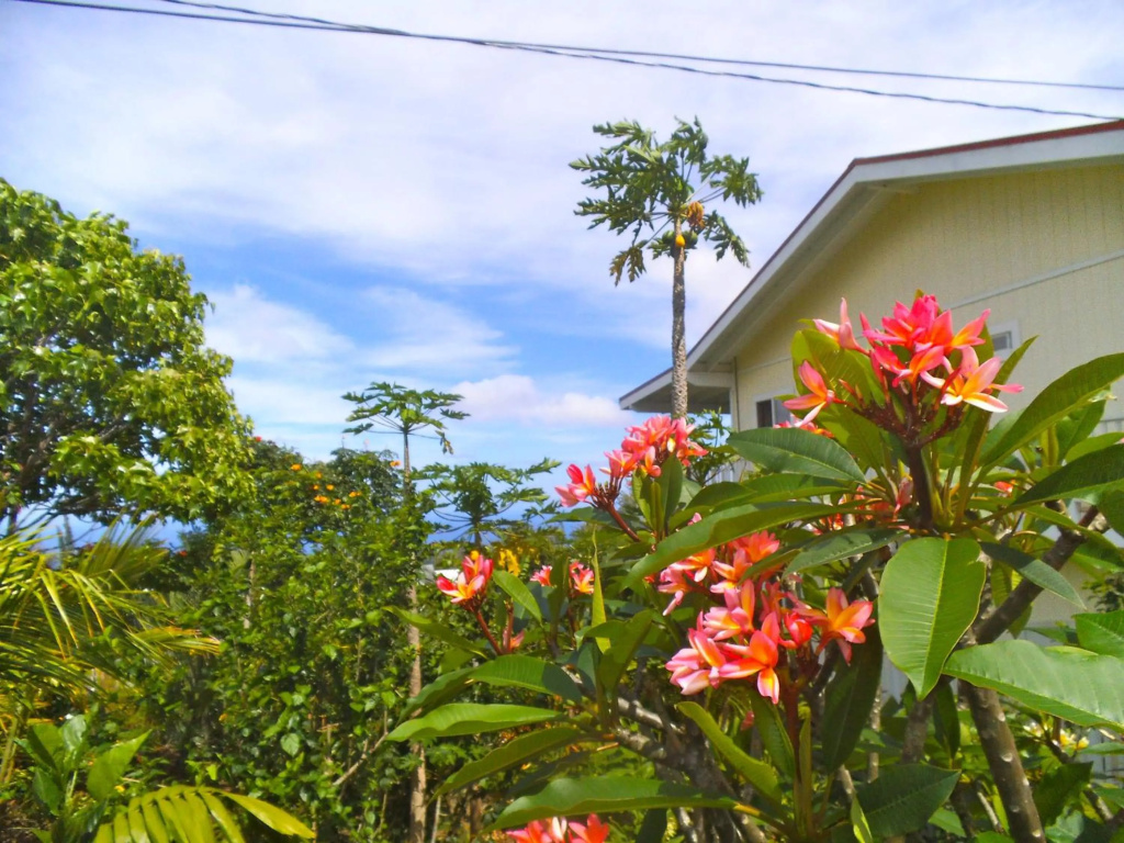 Bears' Place Guest House