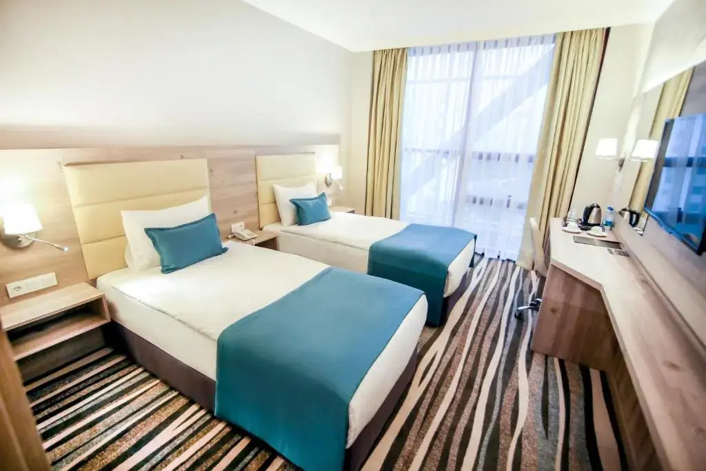 Standard Double room (twin beds)
