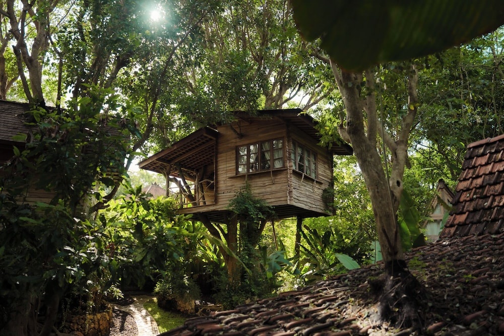 Roots Tree House — фото 1