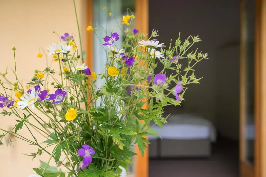 Standard Double room with garden view (full double bed)