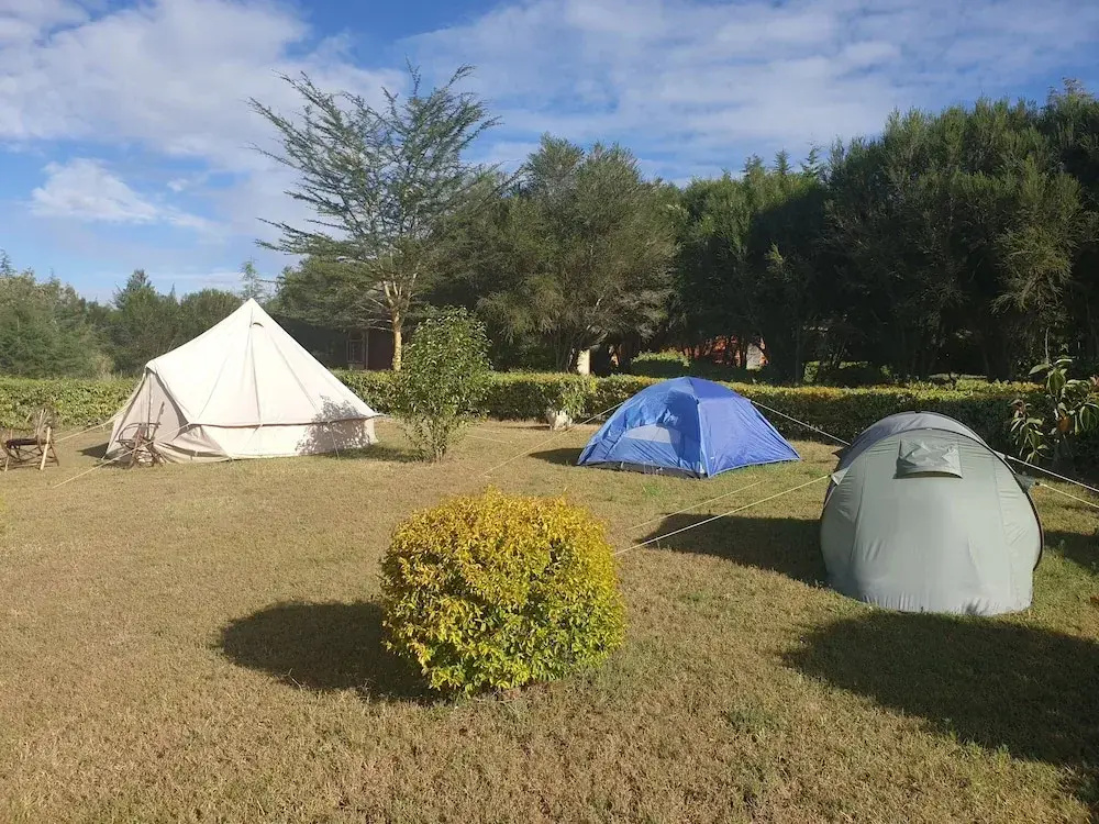 Blue Zone Kenya Resorts and Game Drives