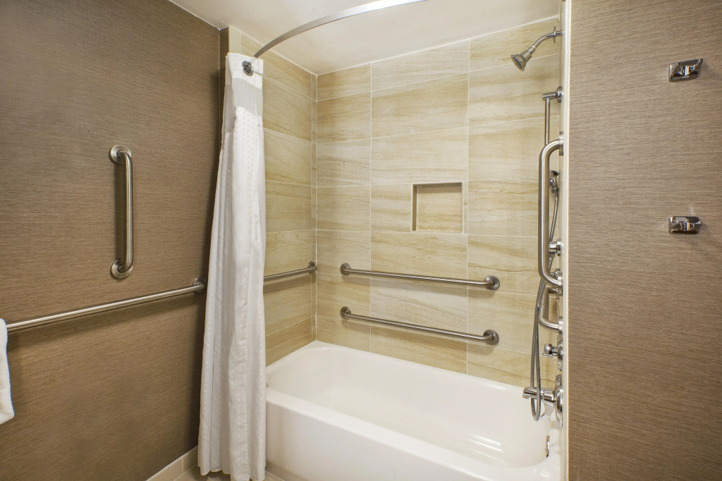 Holiday Inn Washington-Dulles International Airport by IHG - Général