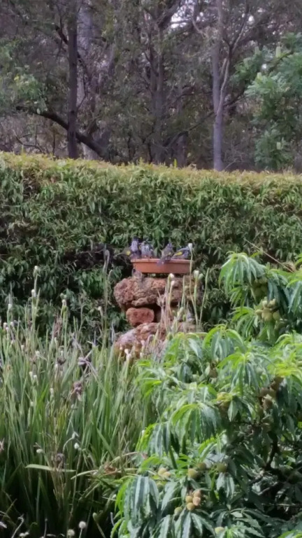 Woody Grange Chalets — фото