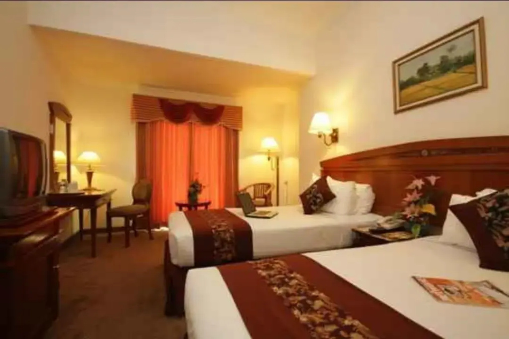 Superior Double room (twin beds)