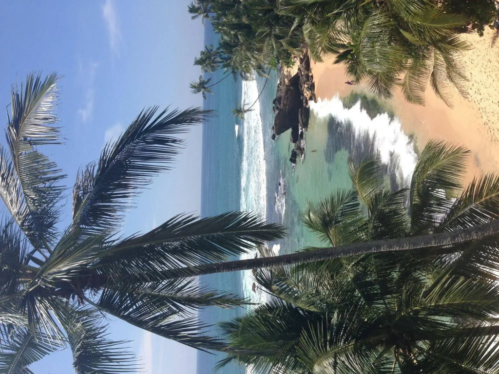 Sayura Beach Hotel - Général