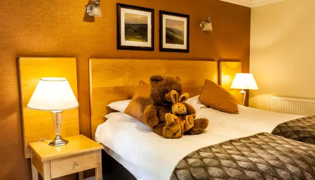 Stradey Park Hotel - Chambres