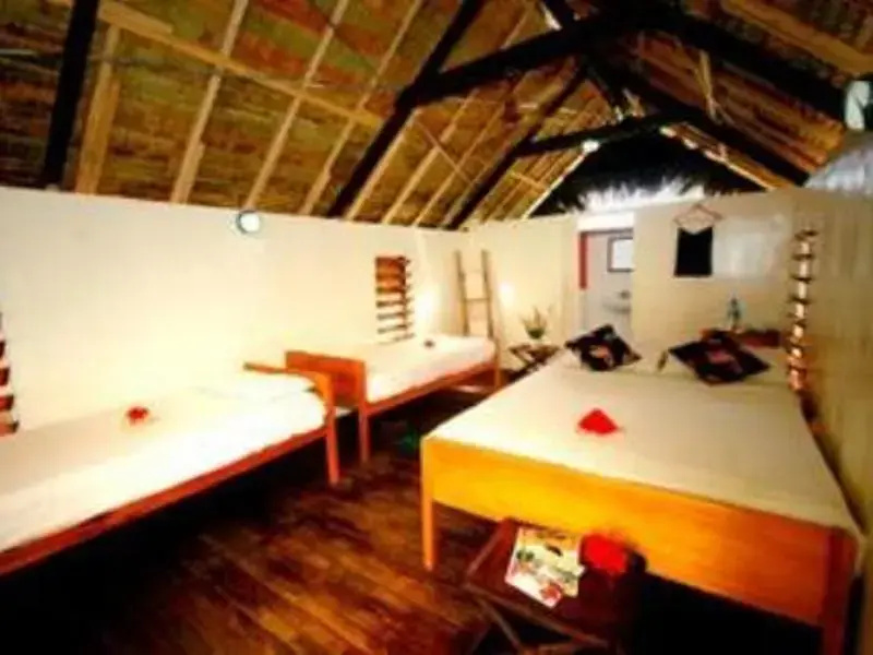 Mango Bay Resort - Chambres