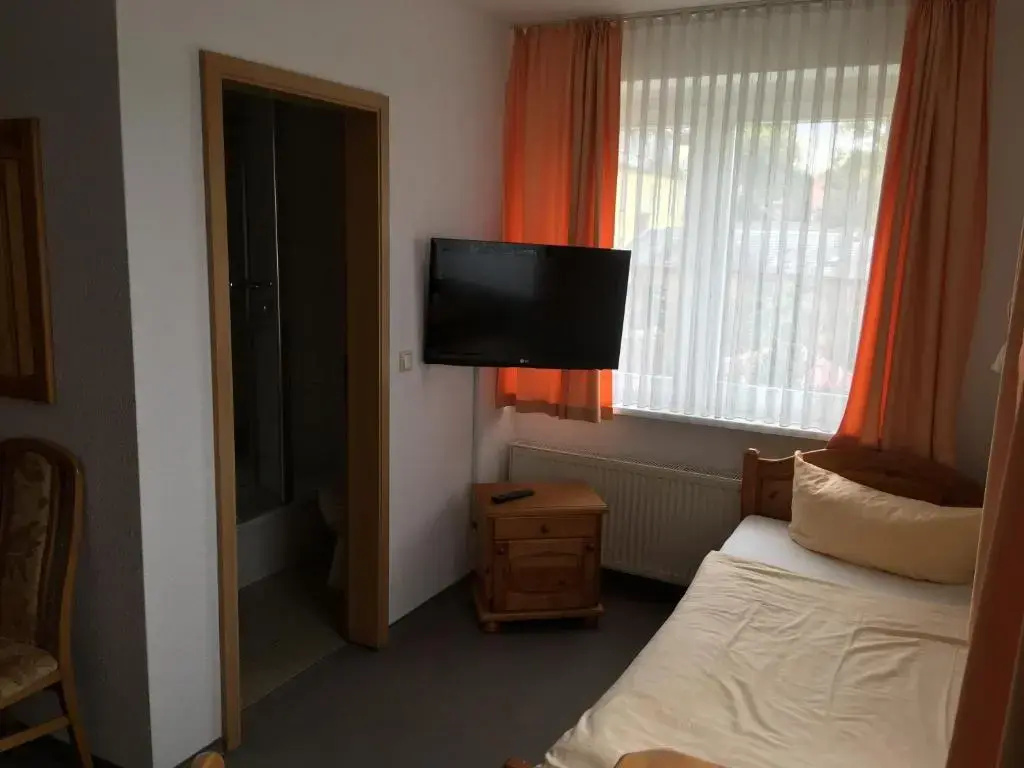 Standard Double room with lake view (twin beds)