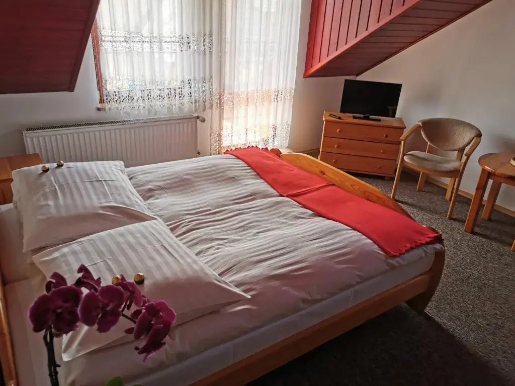 Standard Double room (full double bed)