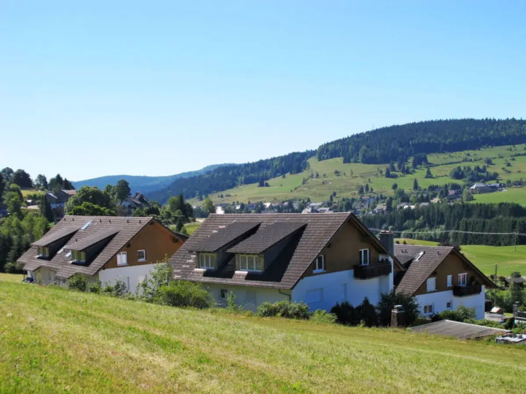 Schwarzwaldblick 27070