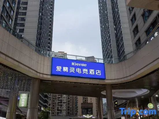 IGenie·Love Spirit E-sports Hotel (Chengdu Yintai City Dayuan Subway Station)