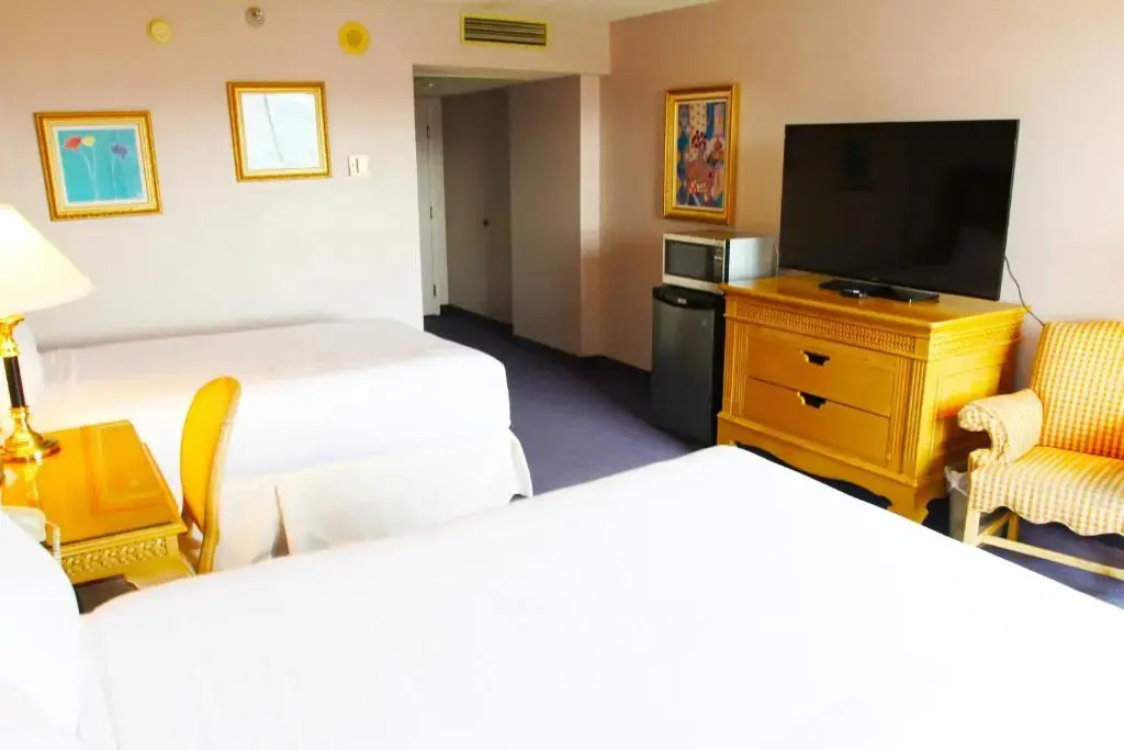 Deluxe Double room with river view (full double bed)