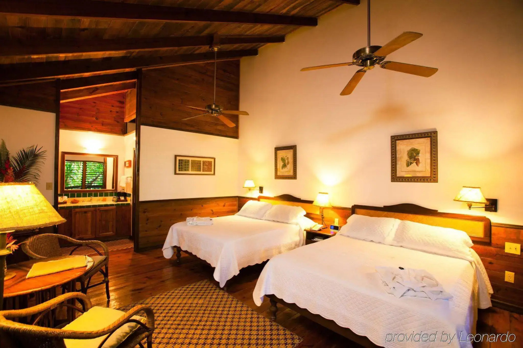 The Lodge at Pico Bonito - фото 42