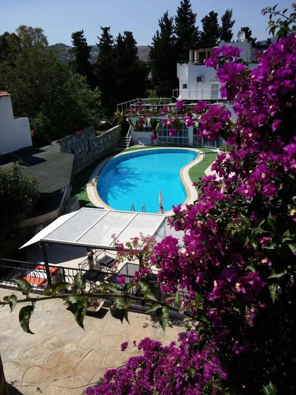 Hotel photo 12