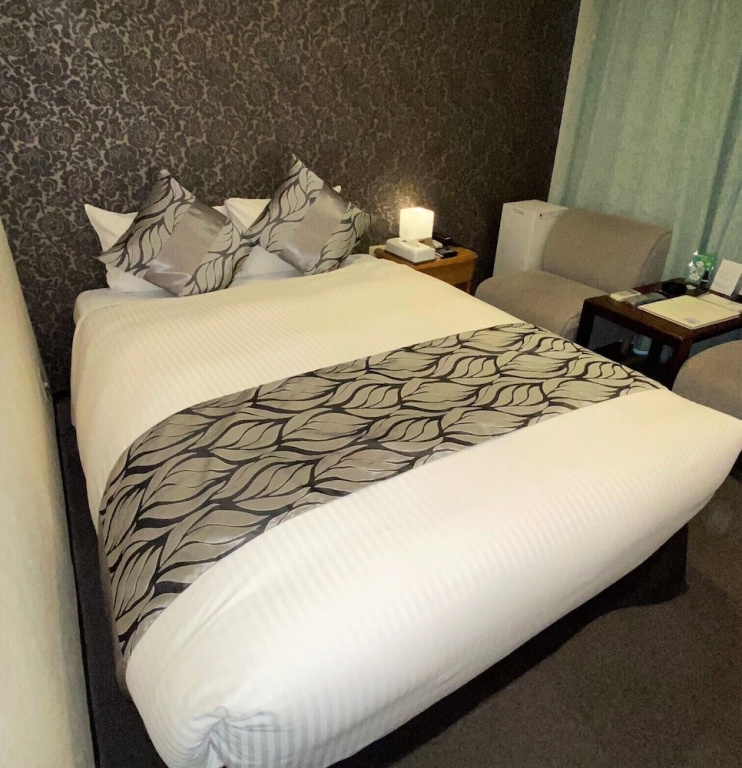 Roppongi Plaza Hotel 사진 3