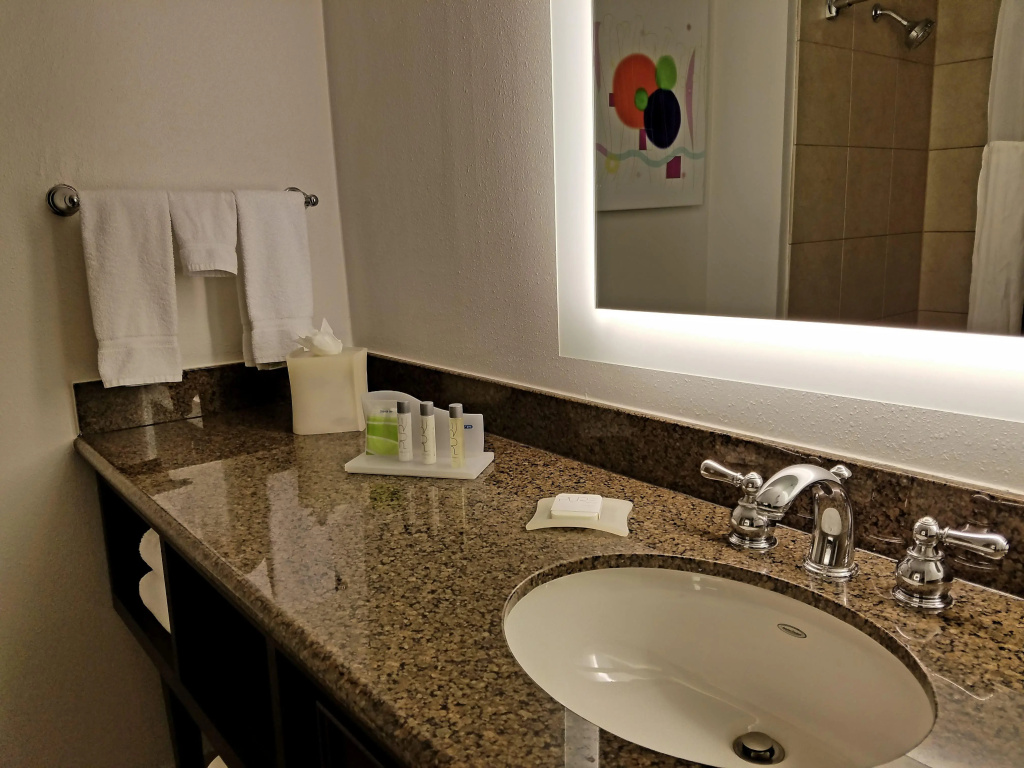 Holiday Inn Irving Las Colinas by IHG - Général
