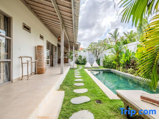 New Villa Misha Modern 2BR Pool Tropical Garden - Seminyak