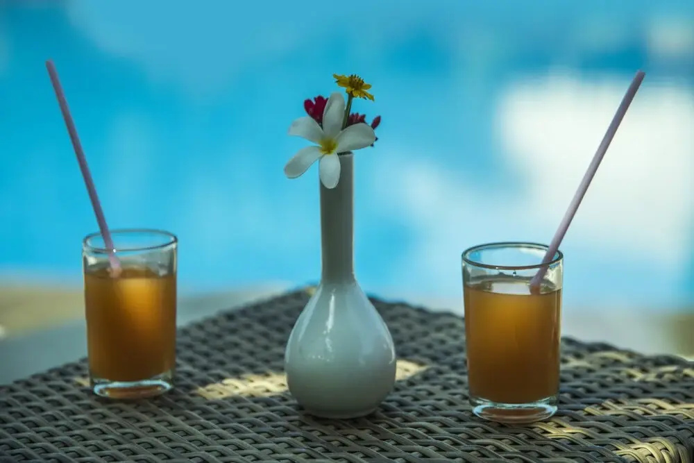 Garh Govind Hotel & Resort - Général