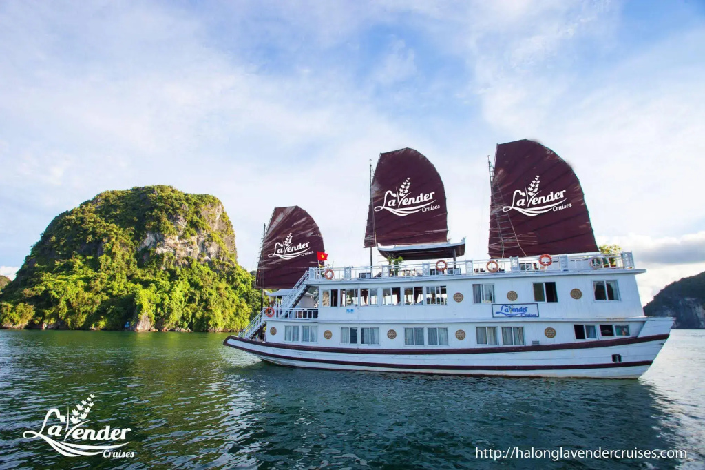 Lavender Elegance Cruise