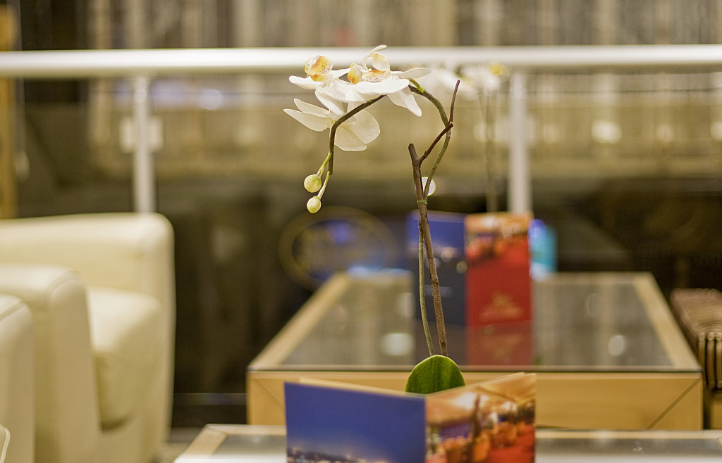 Park Star Hotel Taksim - Général