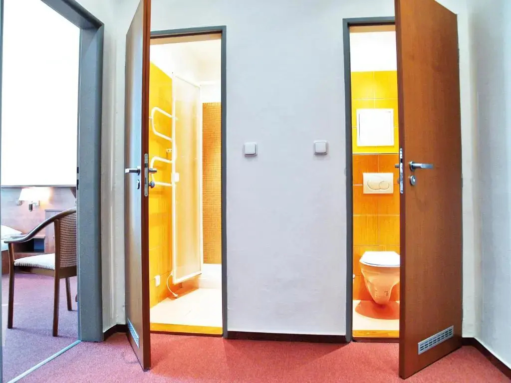 Standard Double room (full double bed)