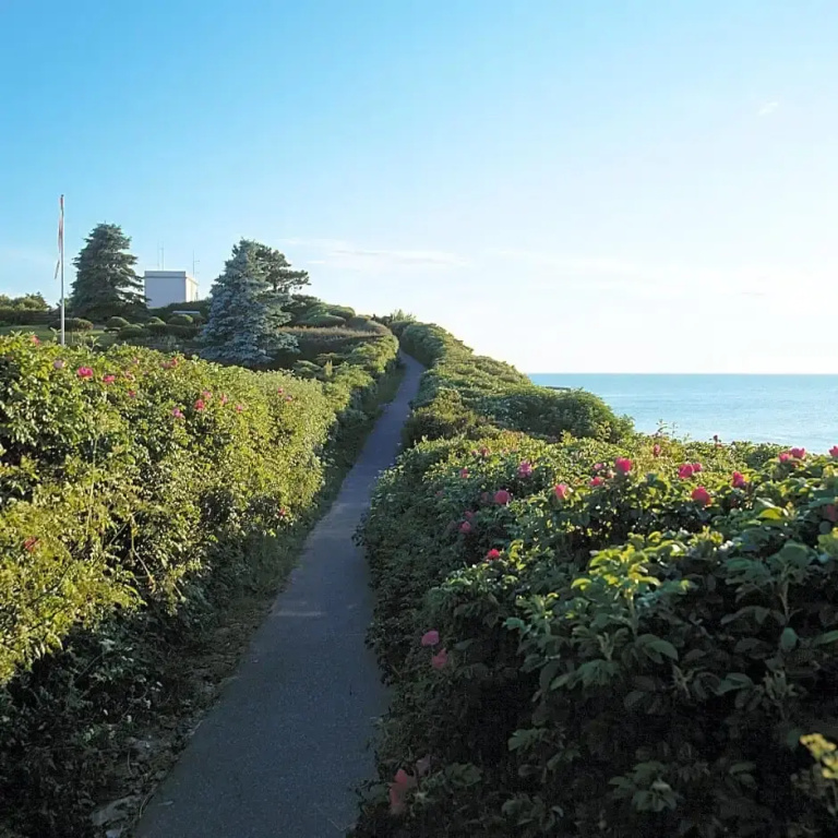 Gilleleje Badehotel - Chambres