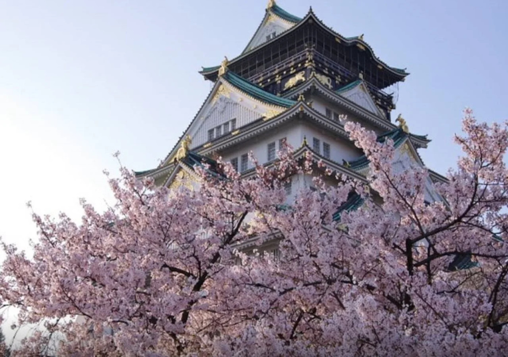 YADOKARI 难波旅舍(Yadokari Namba Hostel) 사진 16