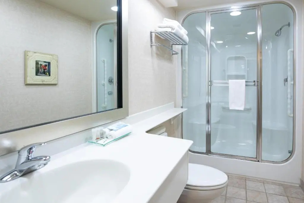 Royal Hotel West Edmonton, Trademark Collection by Wyndham - Chambres