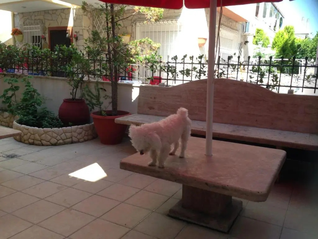 Hotel photo 17