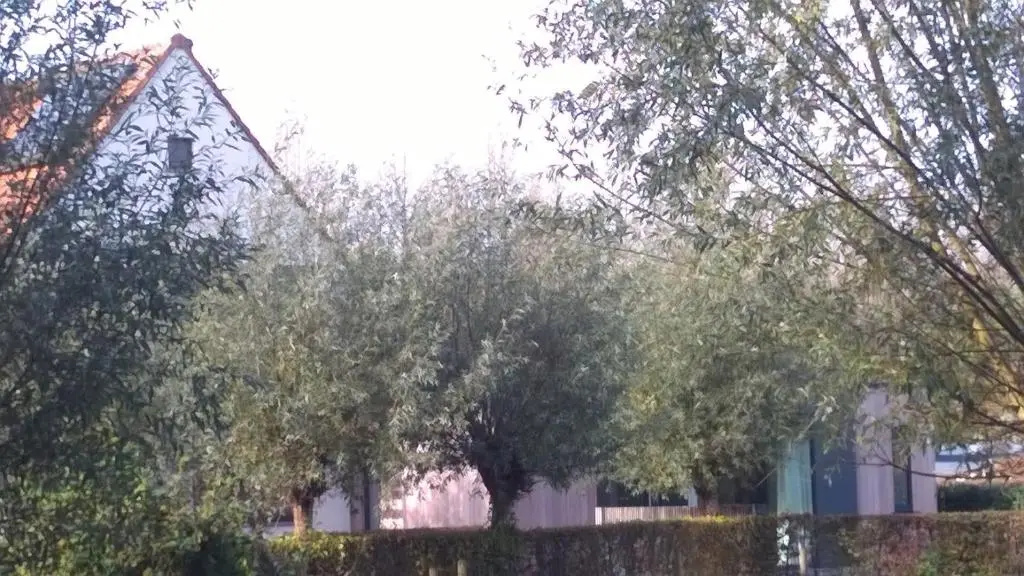 B&B Hier en Nu