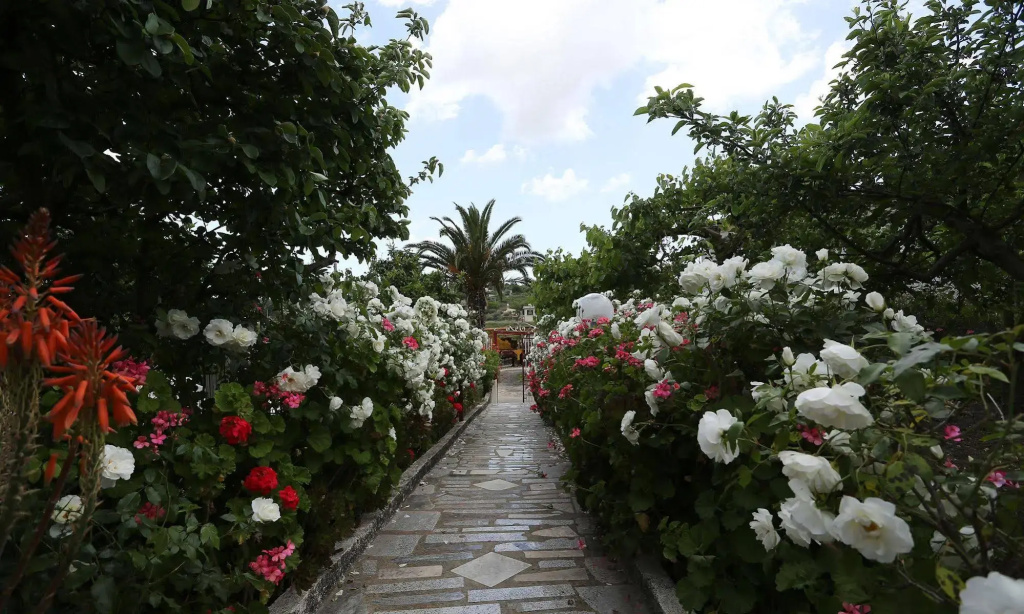 Hotel photo 21