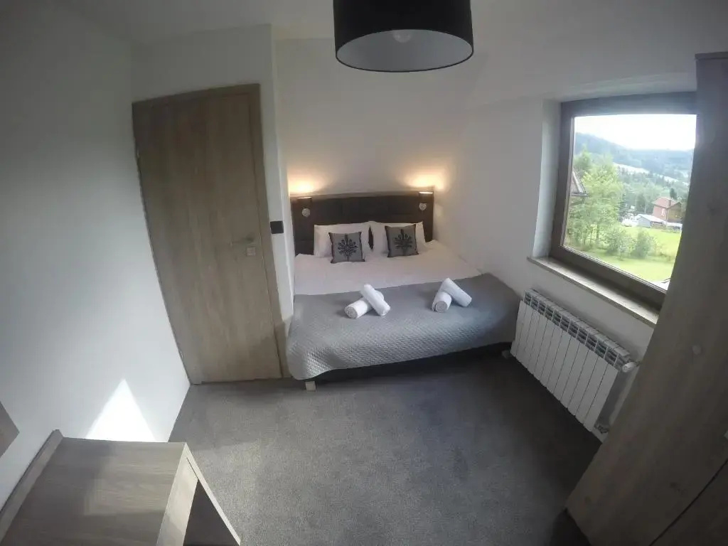 Deluxe Double room (full double bed)