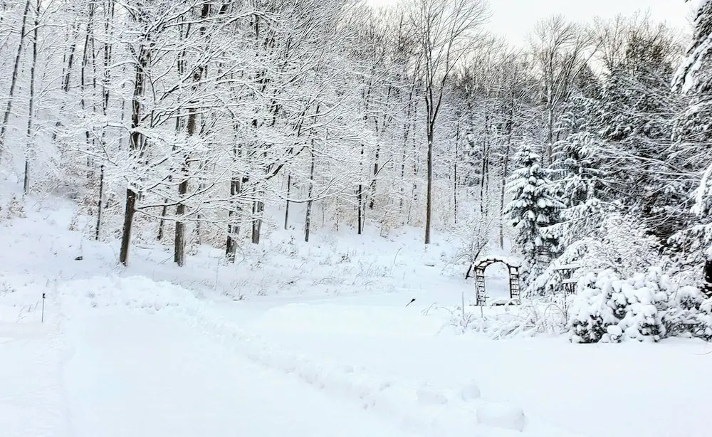 Winter Lore Brought to you by GetAway Vacations