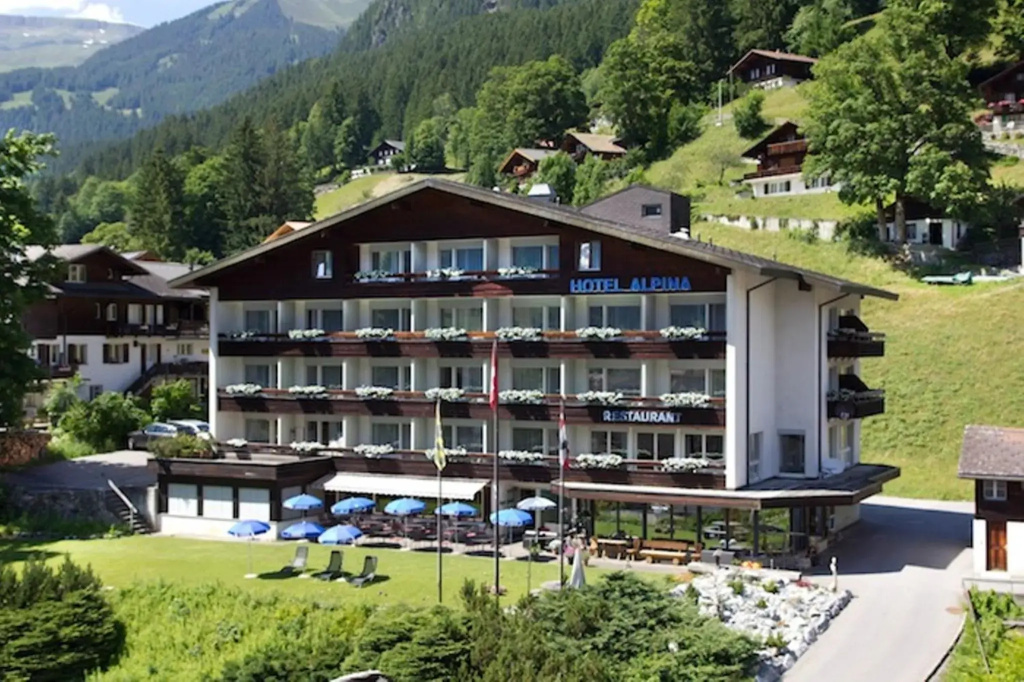 Hotel Restaurant Alpina - Général