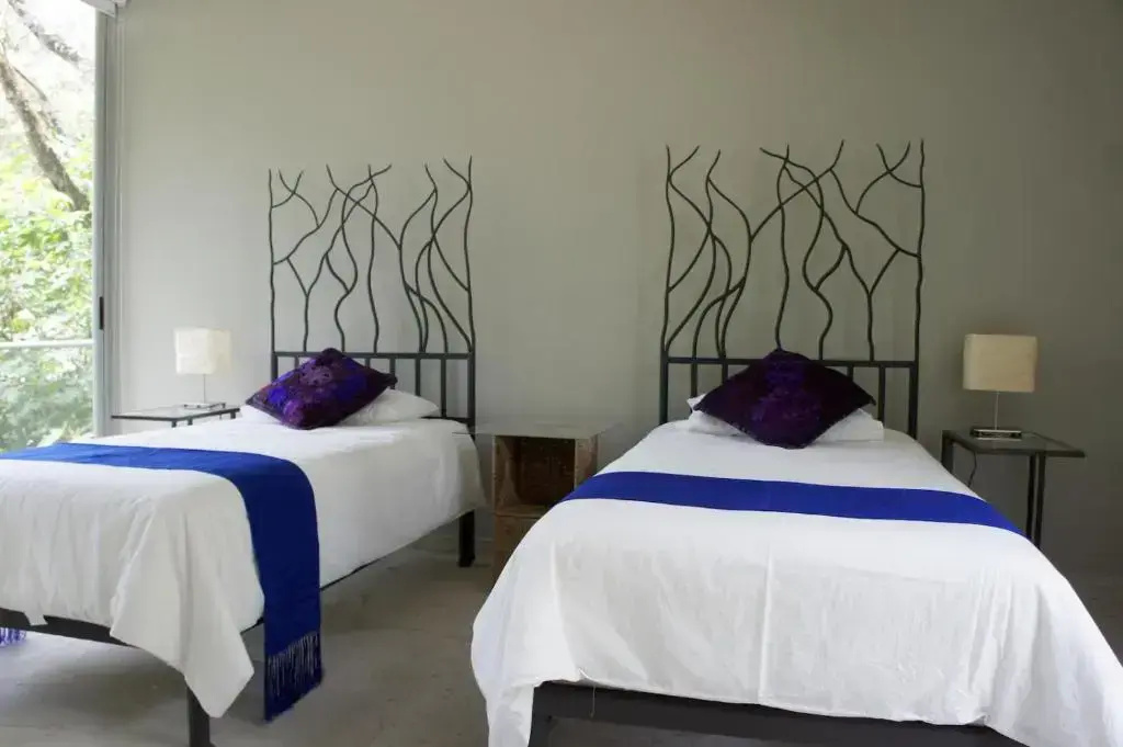 Standard Double room with mountain view (full double bed)