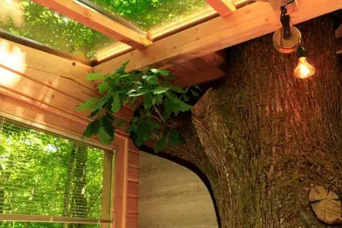 Spa & Wellness