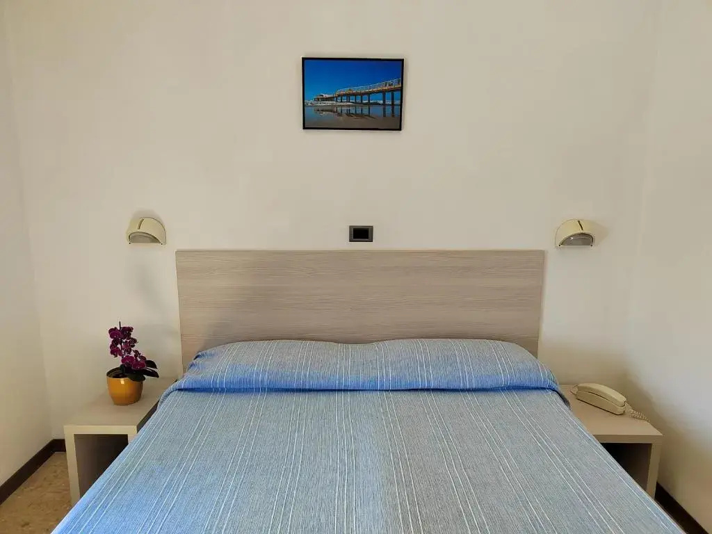 Standard Double room with balcony (full double bed)