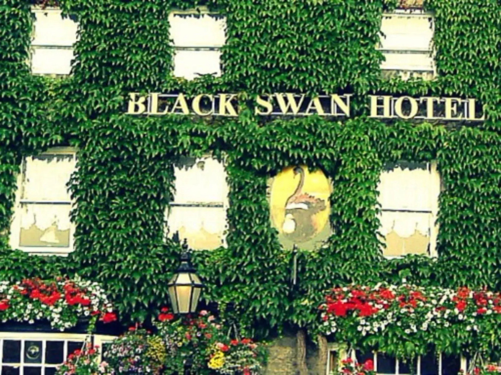 the black swan