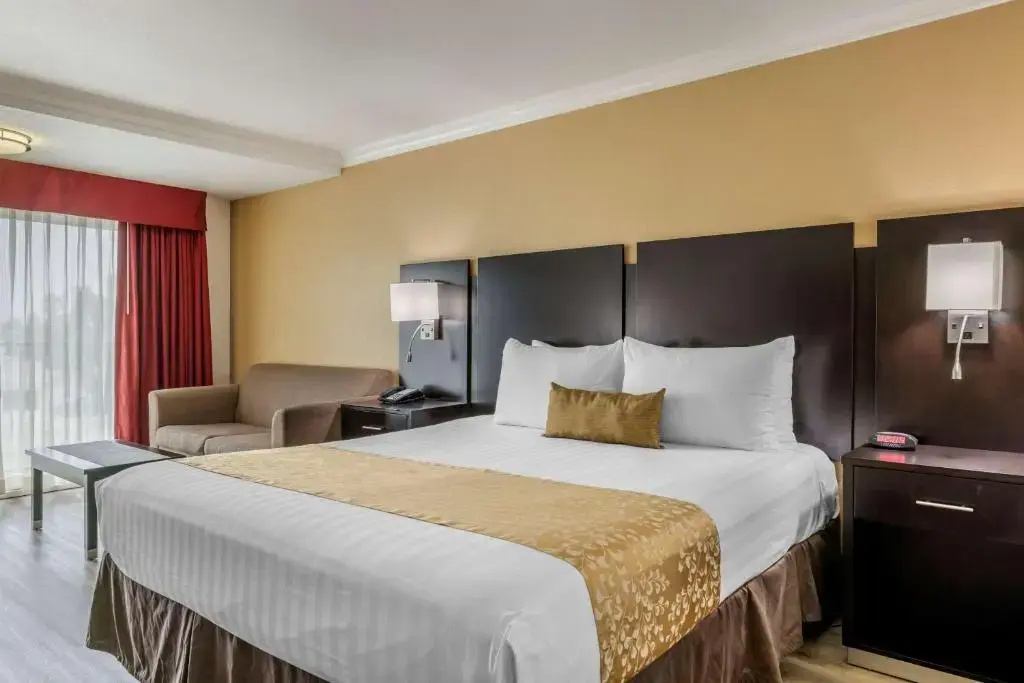 Best Western Plus South Bay Hotel - Chambres