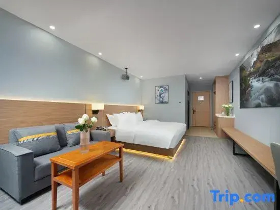 Standard Double room with city view (full double bed)