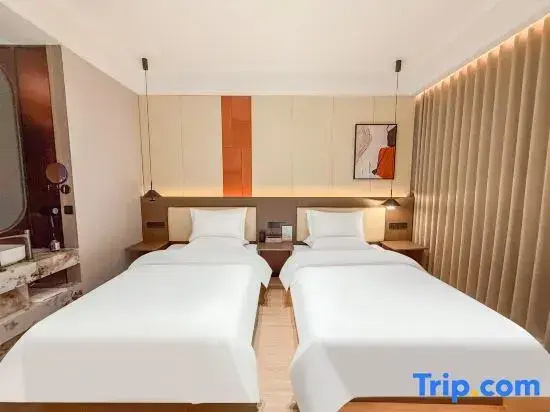 Standard Double room with city view (twin beds)