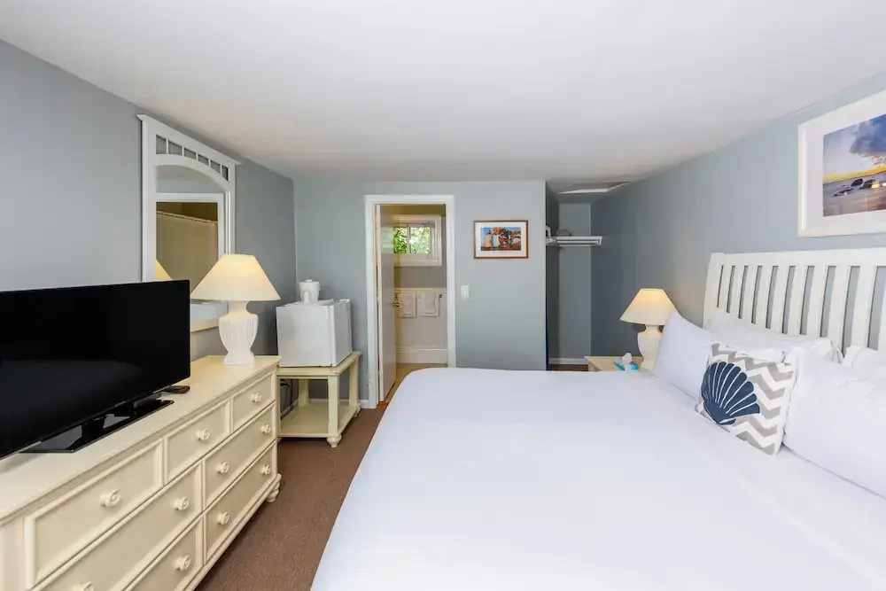 Standard Double room with garden view (full double bed)