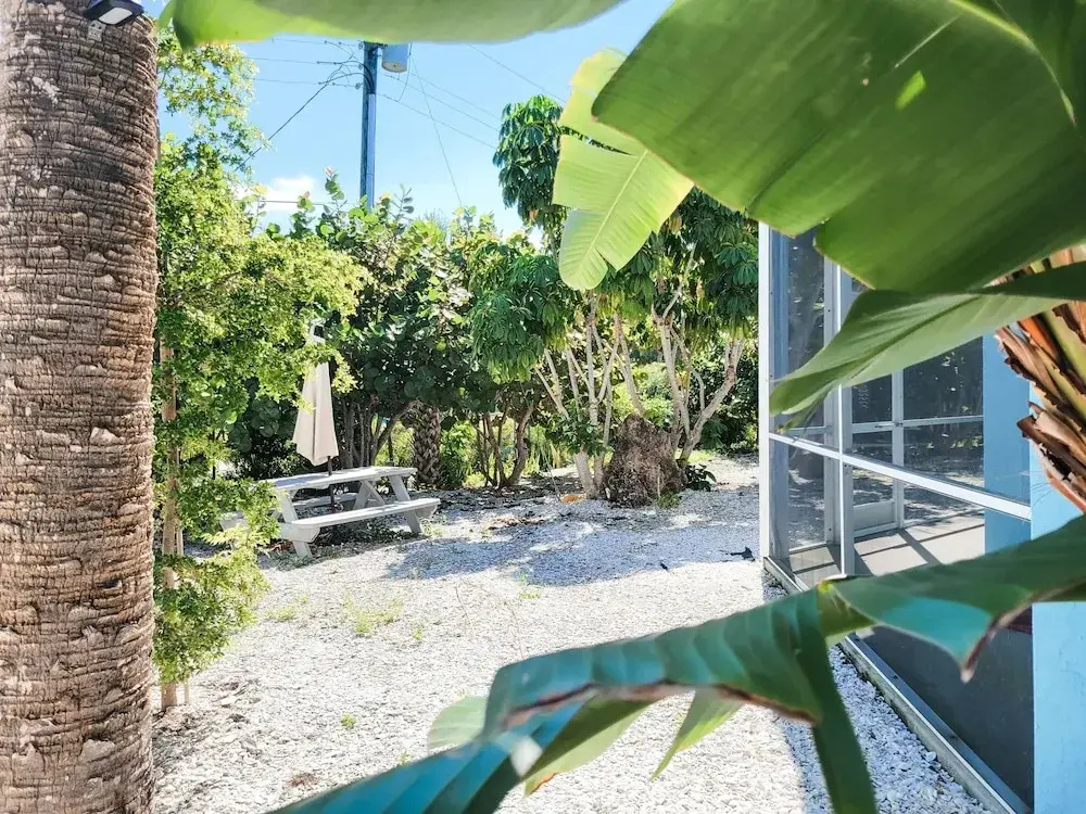Sunset Views + Steps From The Beach 2 Bedroom Duplex by RedAwning